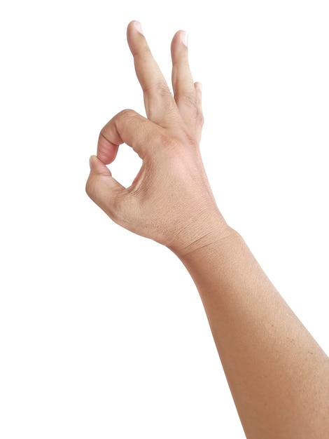 Isolated human hand on white background