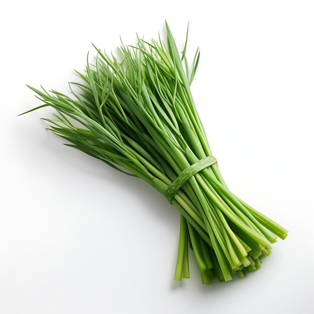 Isolated of Lemongrass Stalks Type of Herb Cymbopogon Citratus Form of H on White Background Blank