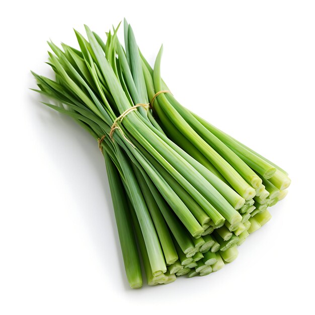 Isolated of Lemongrass Stalks Type of Herb Cymbopogon Citratus Form of H on White Background Blank