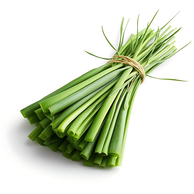 Isolated of Lemongrass Stalks Type of Herb Cymbopogon Citratus Form of H on White Background Blank