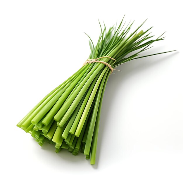 Photo isolated of lemongrass stalks type of herb cymbopogon citratus form of h on white background blank