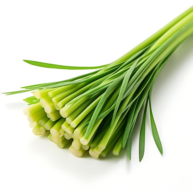 Photo isolated of lemongrass stalks type of herb cymbopogon citratus form of h on white background blank