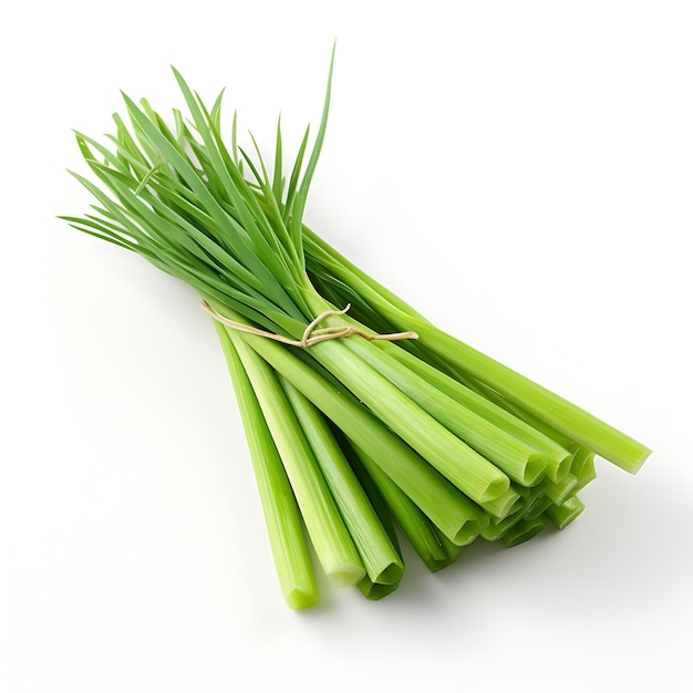 Isolated of Lemongrass Stalks Type of Herb Cymbopogon Citratus Form of H on White Background Blank