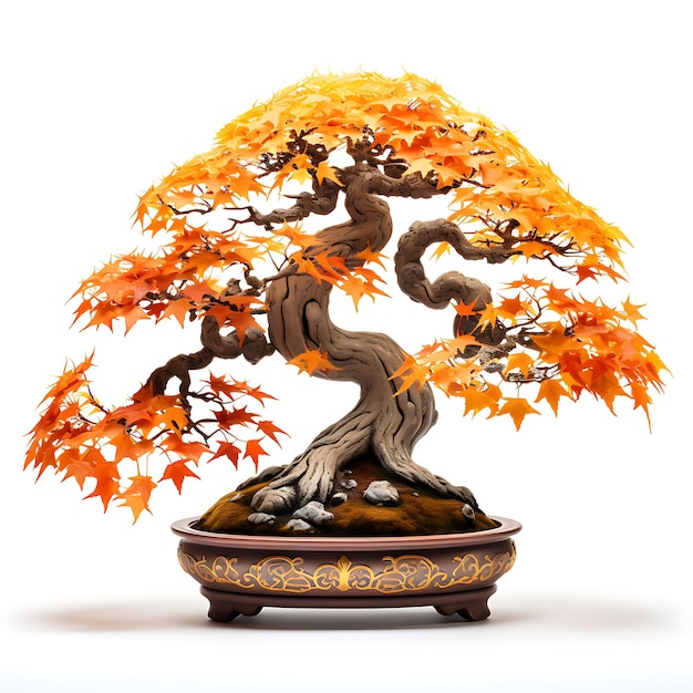Isolated Maple Bonsai Porcelain Pot Palmate Leaves Autumn Foliage Con on White BG Japan Chinese Art