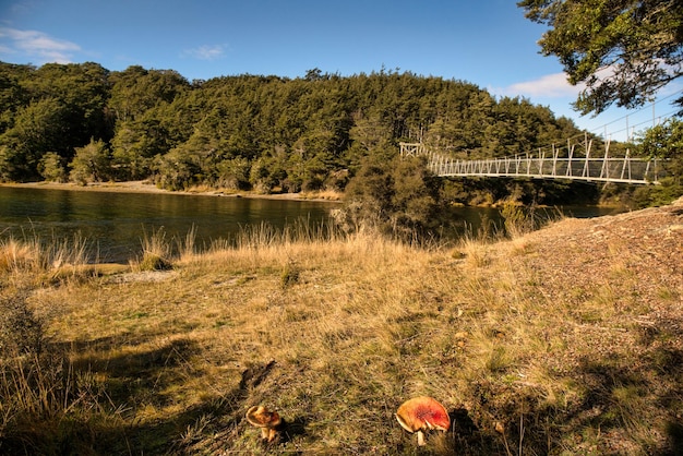 The isolated Mavora lakes surrounded by lush native forest