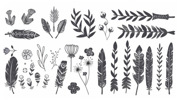 Isolated modern illustration of vintage arrows feathers dividers and floral elements hand drawn