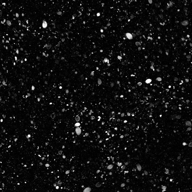 Photo isolated natural white snow texture effect on black night background