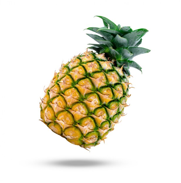 Isolated Pineapples