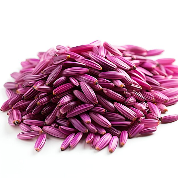 Isolated of Purple Barley Grain Seed Color Purple Form Short Stalks a Vi on White Background Photo