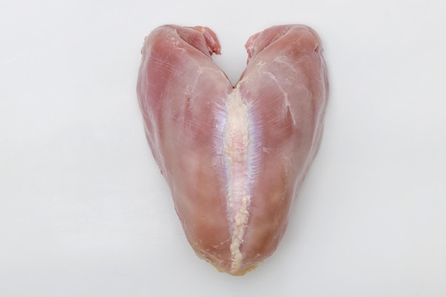 Isolated raw turkey breast on white background