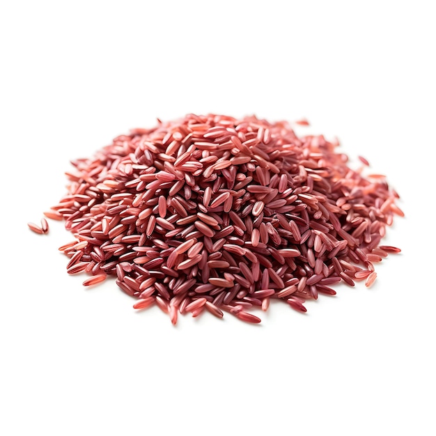 Isolated of Red Rice Grain Rice Grain Color Red Form Paddy Plant Single on White Background Photo