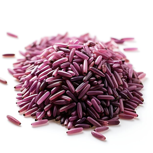 Isolated of Riceberry Grain Rice Grain Color Purple Form Paddy Plant a B on White Background Photo