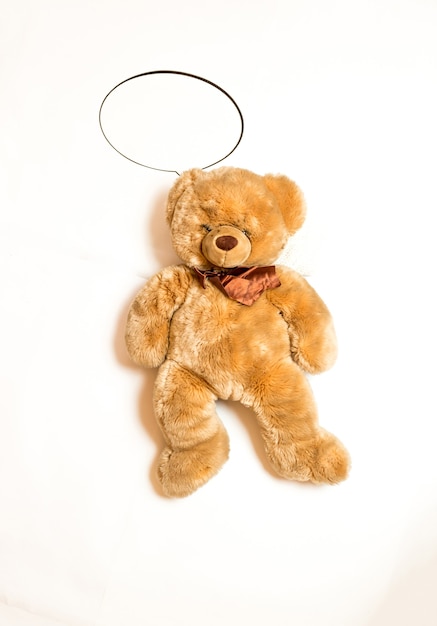 Isolated shot of cute teddy bear with copyspace speech bubble lying on floor