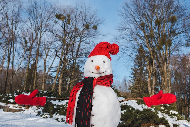 Isolated snowman in red hat winter season