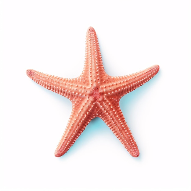 Isolated starfish on a white background ocean sea beach perfect for summer vacation design Flat lay top view with subtle shadows