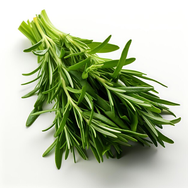 Isolated of Tarragon an Herb Known for Its Distinct Aroma an Top View Shot on White Background