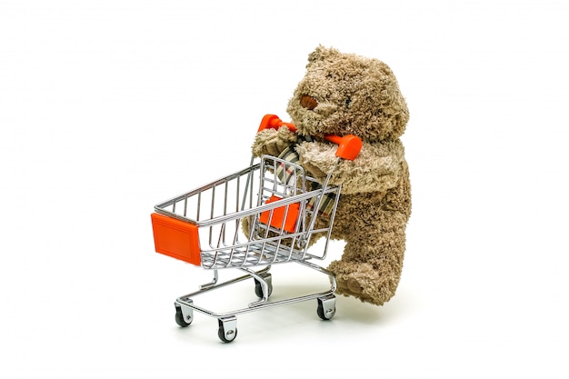 Isolated Teddy bear toy is pushing the trolley cart