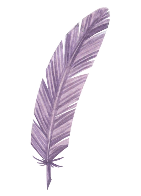 isolated watercolor element Violet quill  vintage feather pen