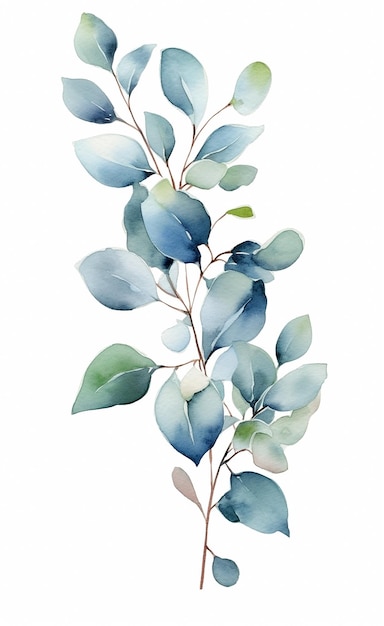 Isolated watercolor Leaf branch painting in white background