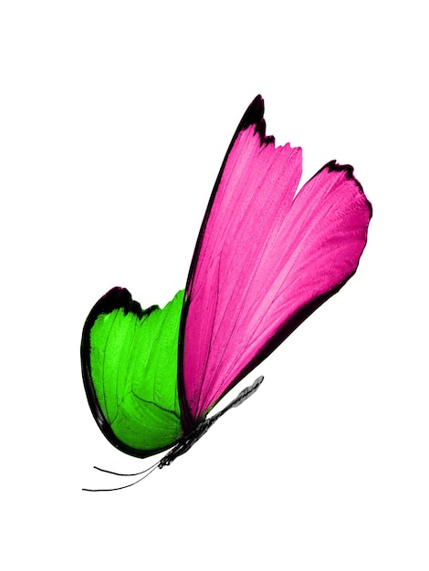 Изолированная на белом фоне летящая бабочка с розовыми и зелеными крыльями