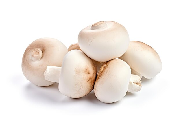 Isolated white background with fresh champignon mushrooms