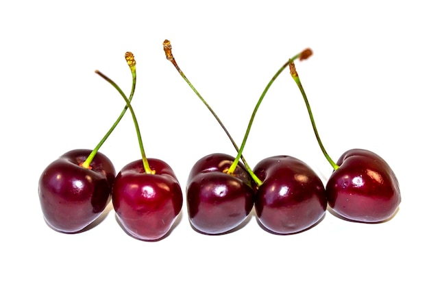 Isolated on White Cherry Background