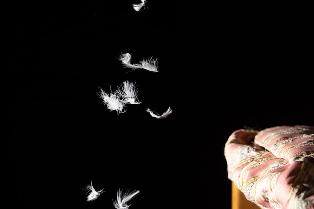 Isolated white feather in black background