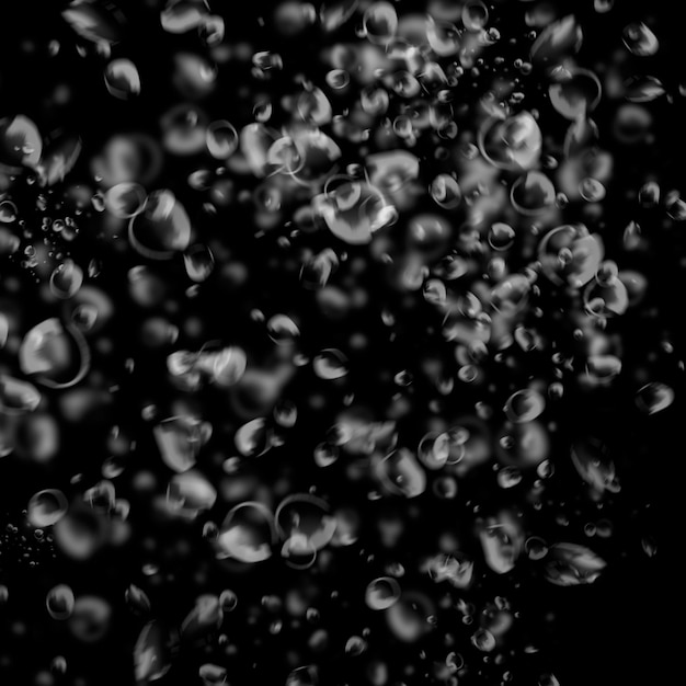黒の背景に分離された白い水の気泡