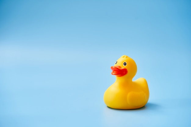 Isolated yellow rubber duck