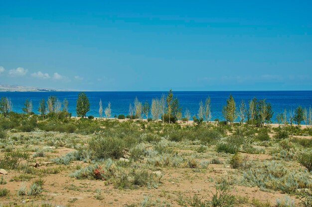 Photo issykkul lake kyrgyzstan central asia located in kochkor district of naryn province