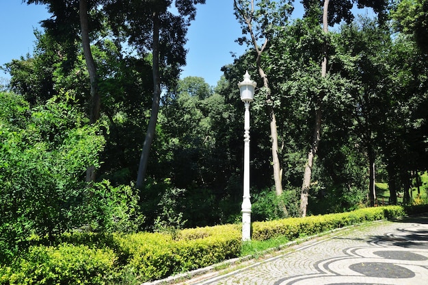 Istanbul City Park. Alley and lighting pole in the park. Summer, sunny day. Panorama of the park.