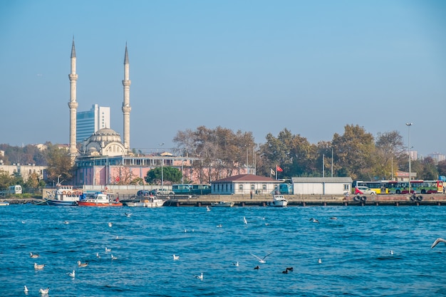 Istanbul mosque