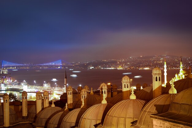 Istanbul. Nacht. Bewolkt. Uitzicht op de Bosporus-straat, de Galata-brug, de Bosporus-brug en de daken van Medrese-i Rabi. Veel schepen