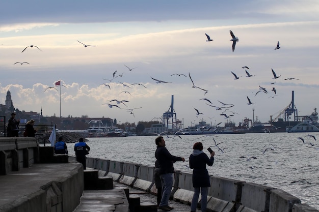 Istanbul - Turkey, February 22, 2022, Landscape of people feeding seagulls on the beach