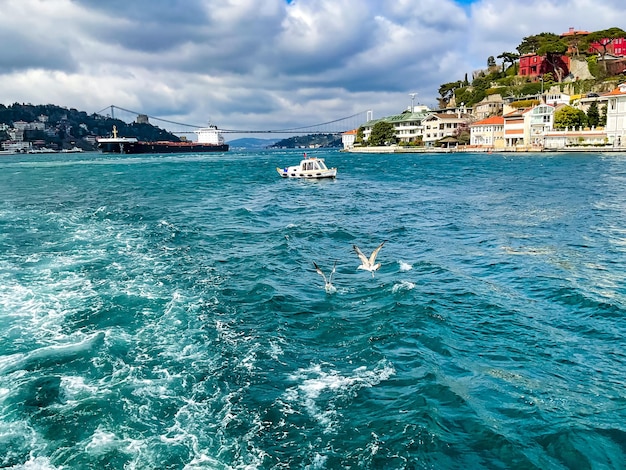 イスタンブールトルコ 2023 年 4 月の風景と海景