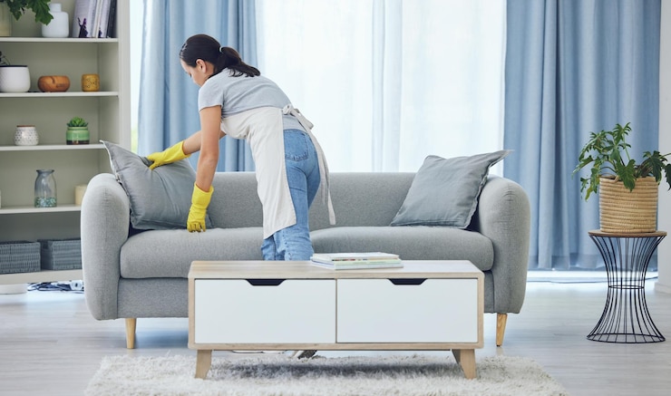 Photo it looks good now shot of a young woman cleaning at home
