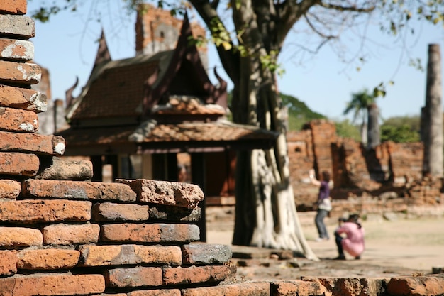 It's an old temple wall.