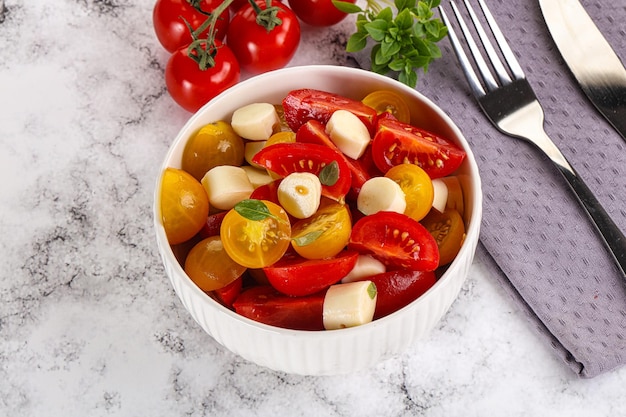 Italiaanse caprese salade met tomaten en mozzarella