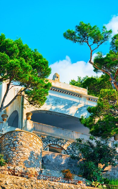 Italian balcony. house and home residential architecture with
plants on capri island at amalfi coast in italy. urban apartment
flat building with facade exterior in anacapri at naples.