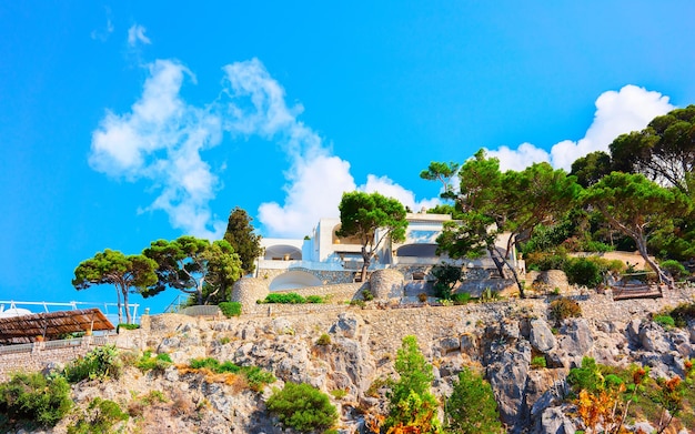 Italian balcony. house and home residential architecture with
plants on capri island at amalfi coast in italy. urban apartment
flat building with facade exterior in anacapri at naples.