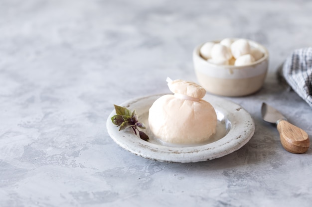 Italian cheeses burrata and mozzarella on a round white plate on a light background. Copy space.