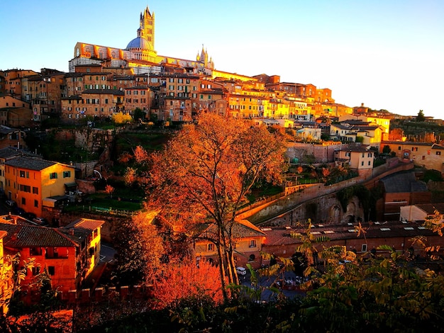 写真 晴れた空に照らされたイタリアの都市