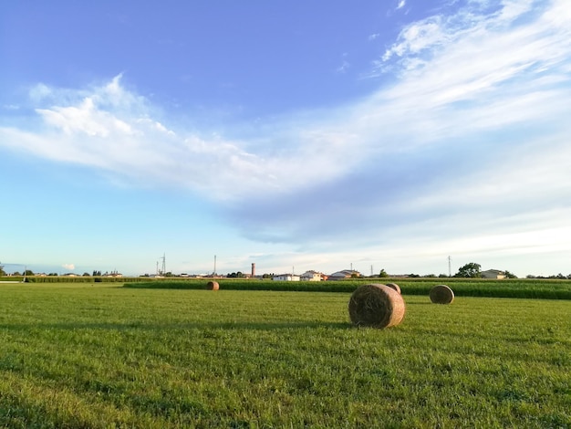 Italian countryside spring landscape. Clear blue sky