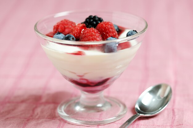 Italian dessert panna cotta