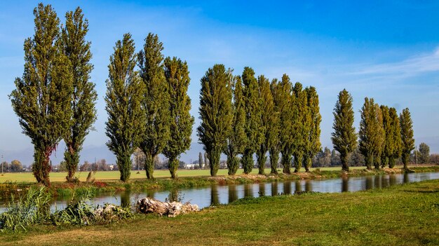 Italian landscapes , fields in the north italy