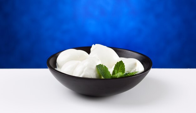 Photo italian mozzarella