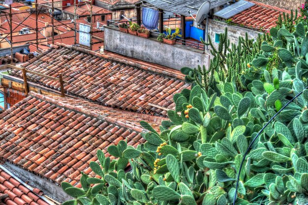 Foto tetti italiani in un piccolo villaggio elaborato per effetto tone mapping hdr