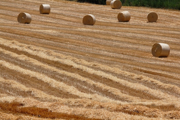 Italië Sicilië Catania provincie platteland geoogst hooiveld