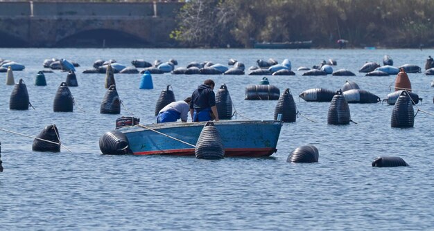 Italië, Sicilië, Ganzirri (Messina); 27 maart 2011, vissers aan het werk in een mosselkwekerij - REDACTIE