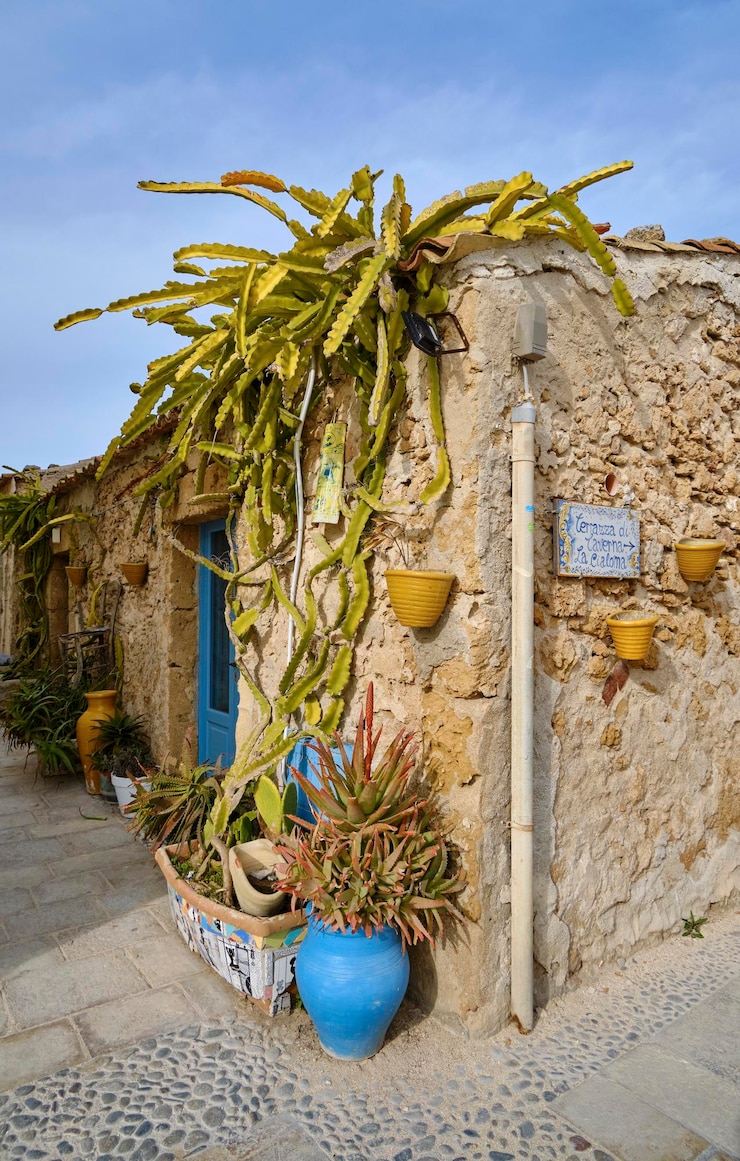 Foto italië, sicilië, marzamemi (provincie syracuse), oude gebouwen van een tonijnfabriek, vetplanten op de stenen muur van de gevel van een huis